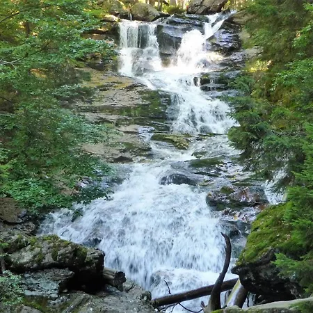 Breit - Kirchdorf Lejlighed Kirchdorf im Wald